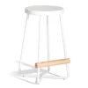 23.7" Boutique Dixon White & Ash Dowel Counter Stool